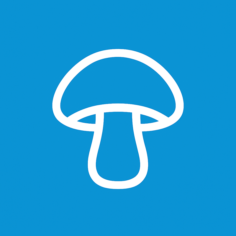Mushroom Illustration