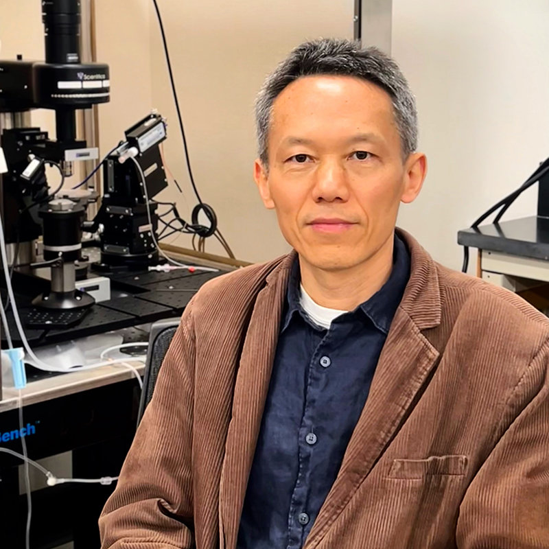 Jiali Li, Ph.D. profile photo