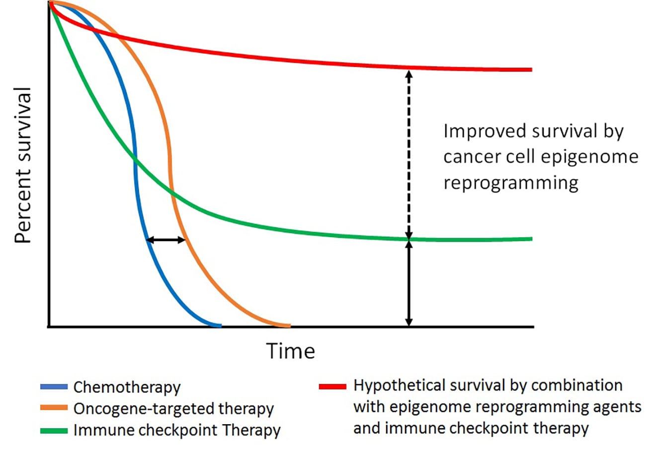 Cancer Cell Epigenome