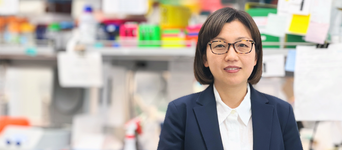 Ji-Yeon Shin, Ph.D.