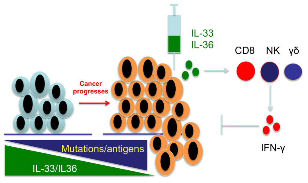 Mutations/Antigens